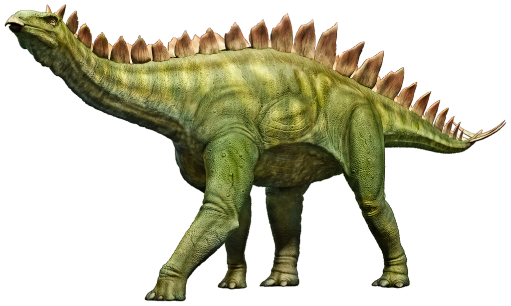 stegosaurus